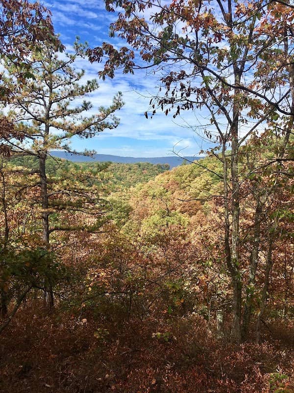 - - Image 1