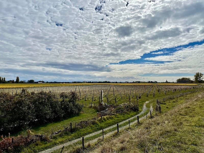 Hawke's Bay Trails - Image 3