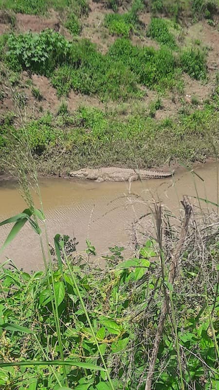River Viewpoint - Image 1