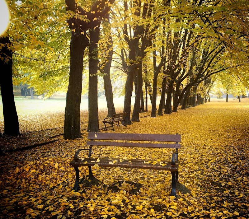 Park Mieru - Image 2