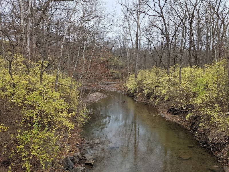 Grindstone Nature Area - Image 1
