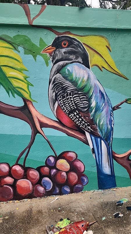 Paseo de Los Colores Neiba - Image 1