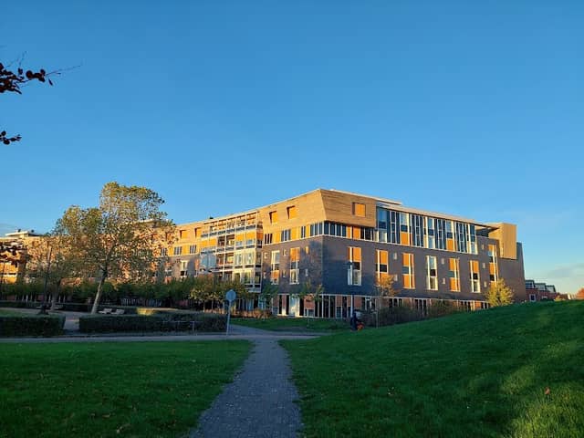 Zomerpark - Image 1