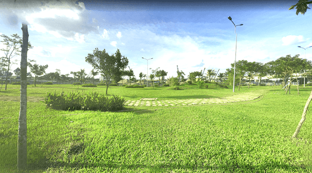 Rach Chiec Bridge Park - Image 1