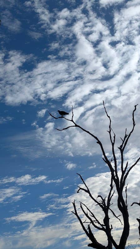 Lake Coogee - Image 2