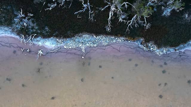 Lake Coogee - Image 1