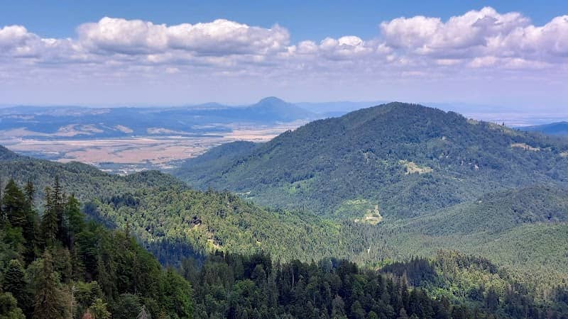 Surpătură - Image 1