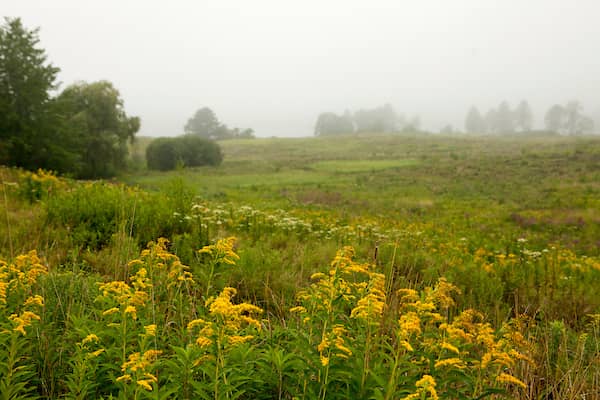 Gilsland Farm Audubon Center - Image 1
