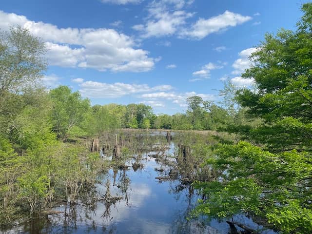 John Lawson Nature Trail - Image 1