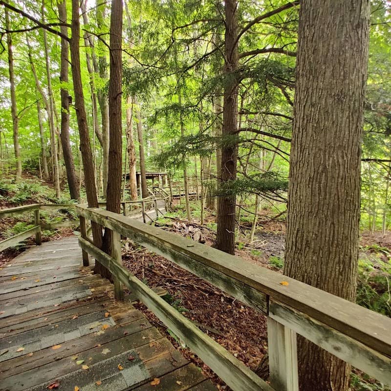 Jenny Glen Boardwalk - Image 1
