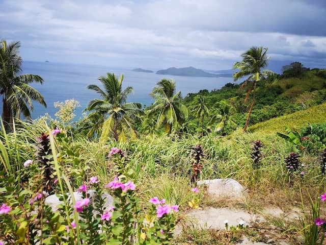 Ningning Viewpoint - Image 3