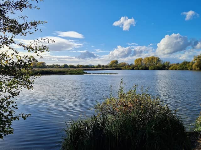 Reinheimer Teich - Image 1