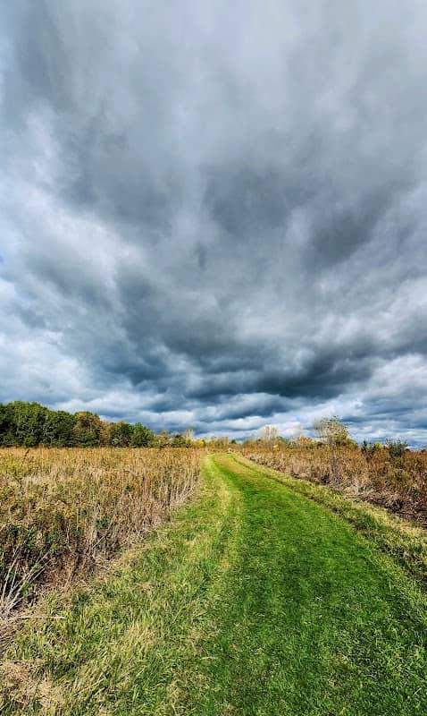 Chikaming Township Park & Preserve - Image 3