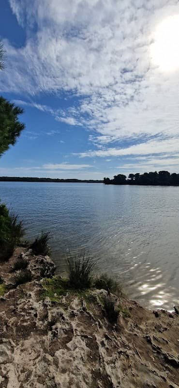 Panchina dei Laghi Alimini - Image 1