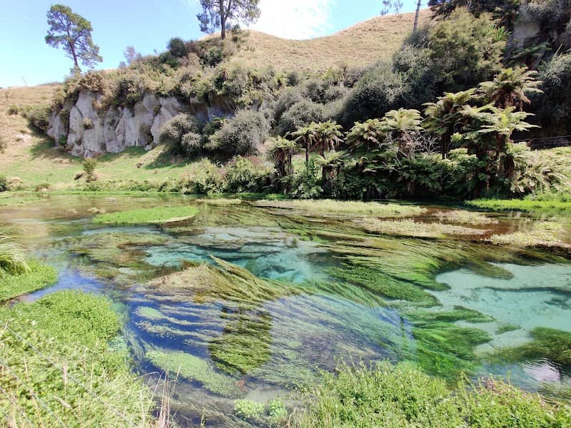 Putaruru Blue Spring - Image 2