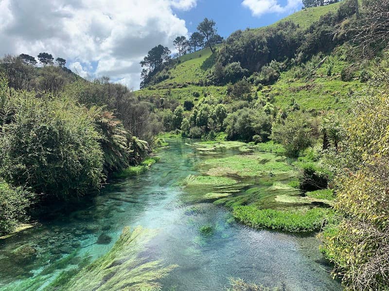 Putaruru Blue Spring - Image 1