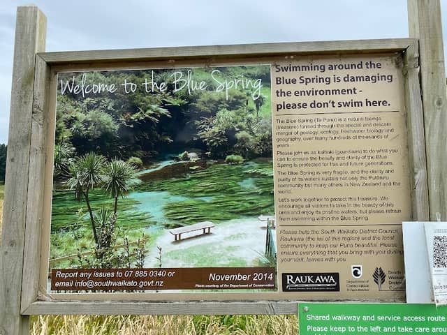 Putaruru Blue Spring - Image 3