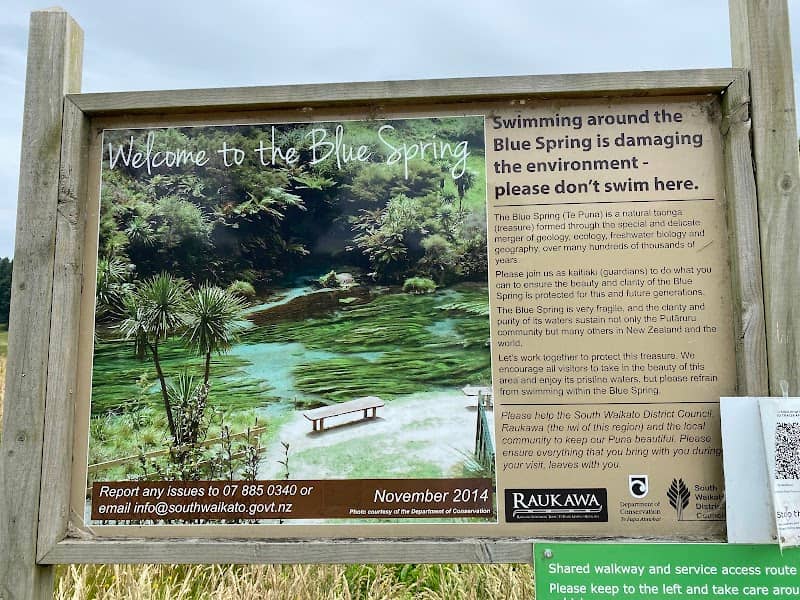 Putaruru Blue Spring - Image 3