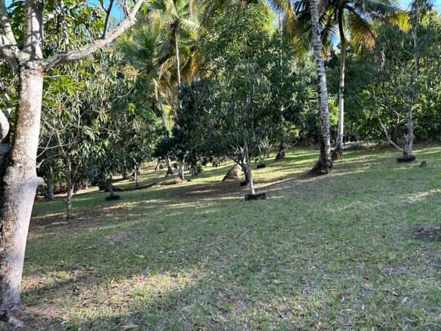 Finca Gómez Ovalles - Image 2
