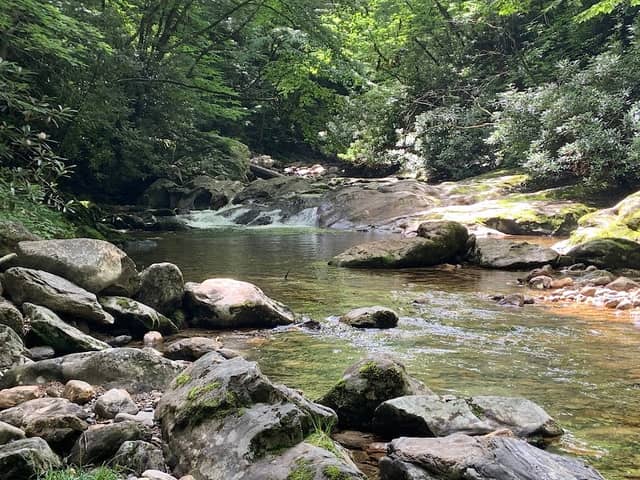 Big East Fork Pisgah - Image 1