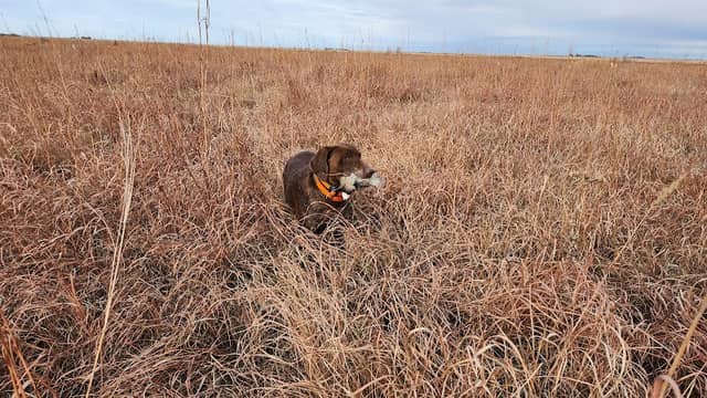 Victor Lakes Waterfowl Production Area - Image 2