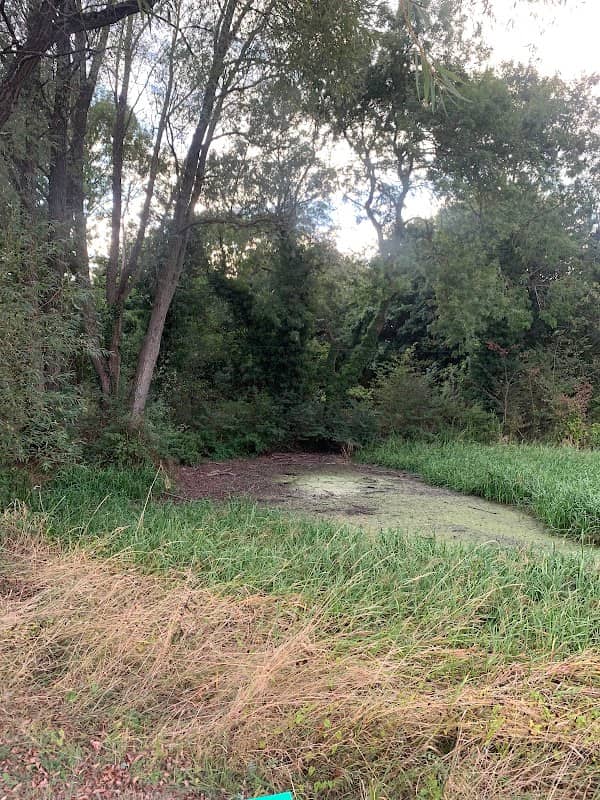 Symonds Green Pond - Image 1