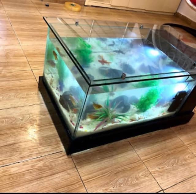 Aquarium Planet Nigeria - Image 1