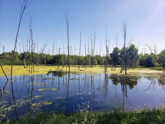 Orland Park Nature Center - Image 2