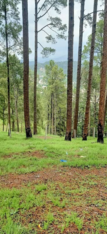 Abbottabad city view - Image 1