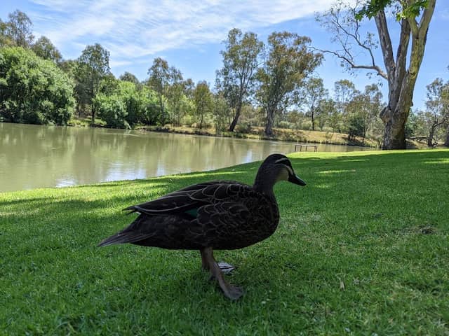 Noreuil Park Foreshore - Image 2