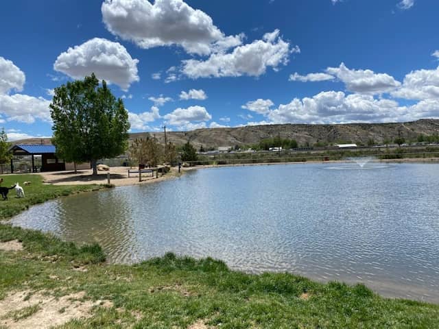 Bittercreek Bark Park - Image 1