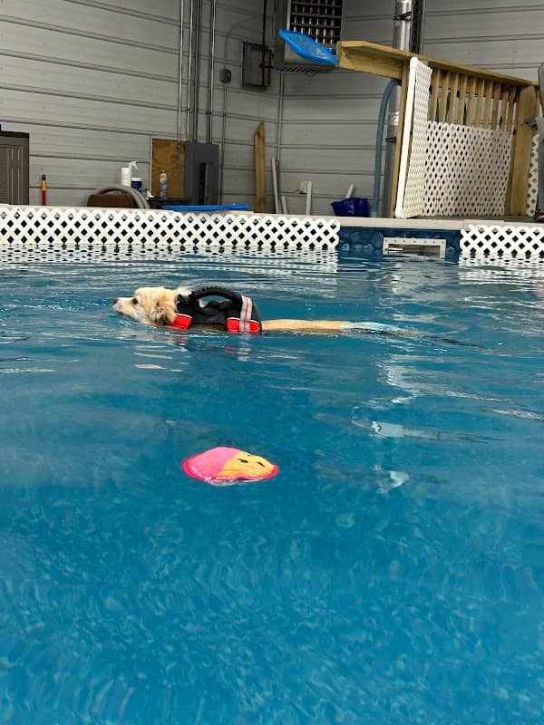 Dog Paddle Beach - Image 1