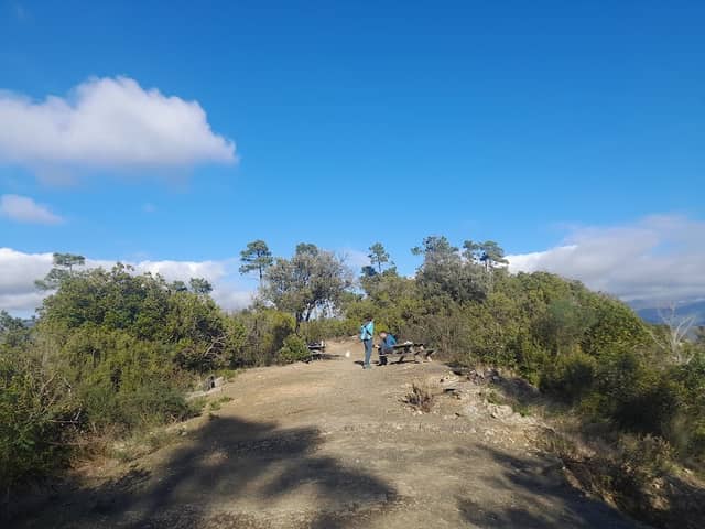 Weg zum Punta Manara - Image 1