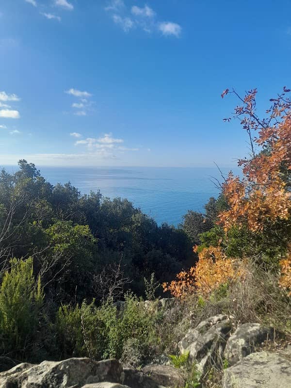 Weg zum Punta Manara - Image 2