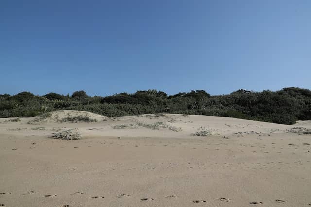 Frederika Preserve Admiral Zone - Image 1