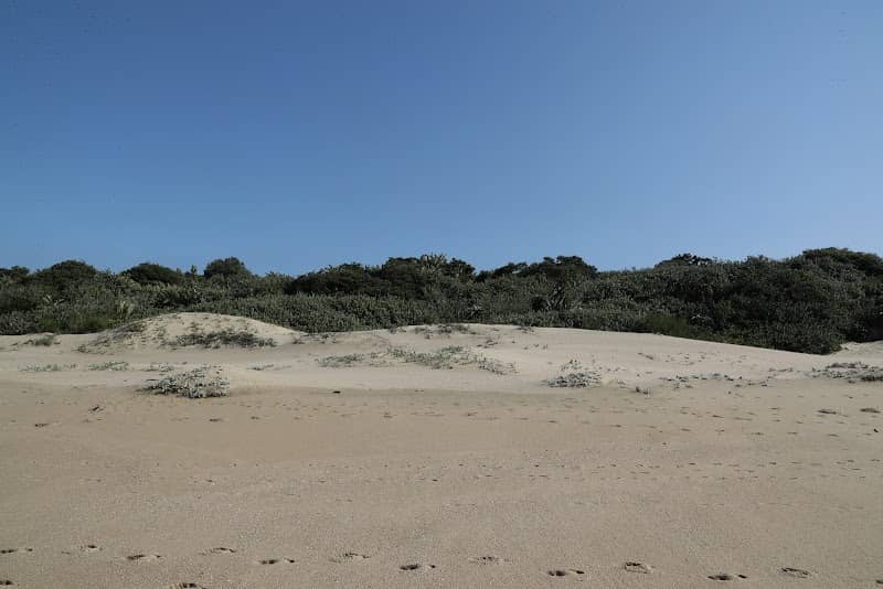 Frederika Preserve Admiral Zone - Image 1