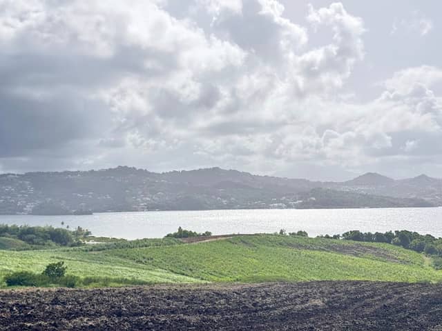 Point de Vue L'OISEAU MOQUEUR par Valorisation Martinique - Image 3
