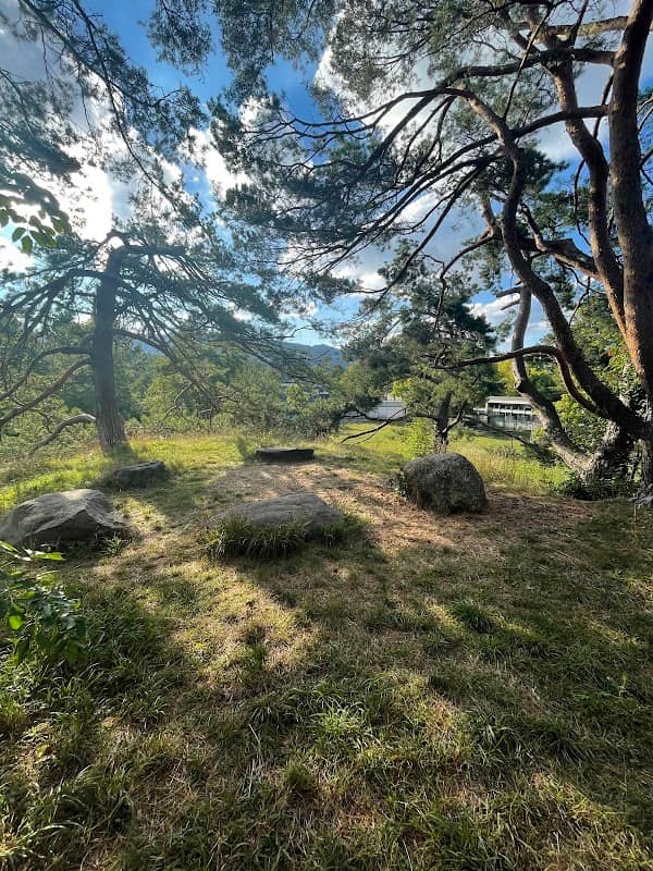 Föhrenhügeli - Image 1