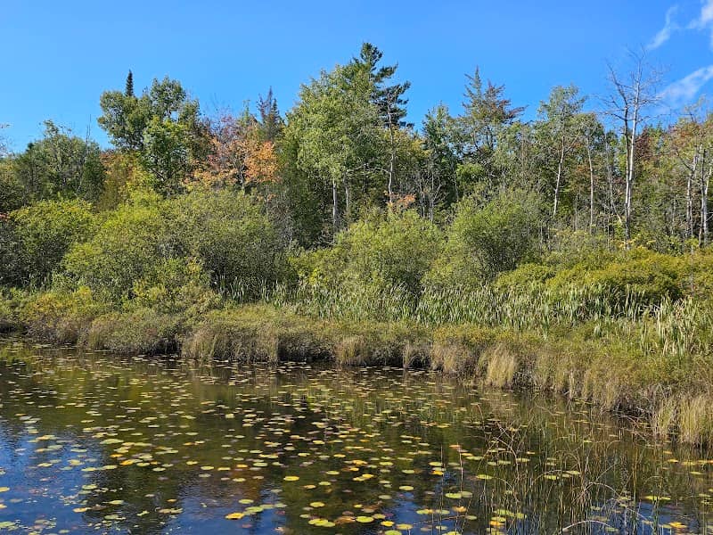 Round Lake Nature Preserve - Image 2