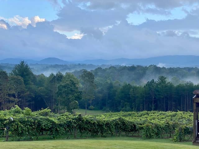 Ott Vineyards And Winery - Image 1