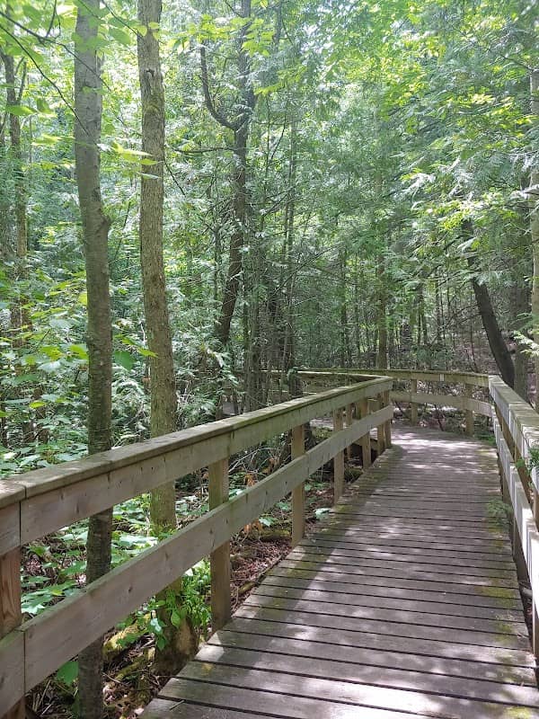 Orono Crown Lands - Image 2