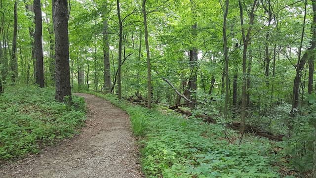 Jackson Bog State Nature Preserve - Image 2