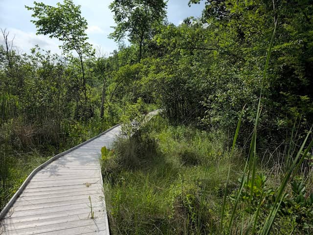 Jackson Bog State Nature Preserve - Image 1
