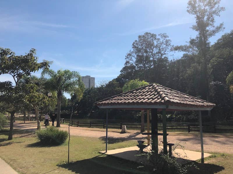 Bosque Maia - Image 3