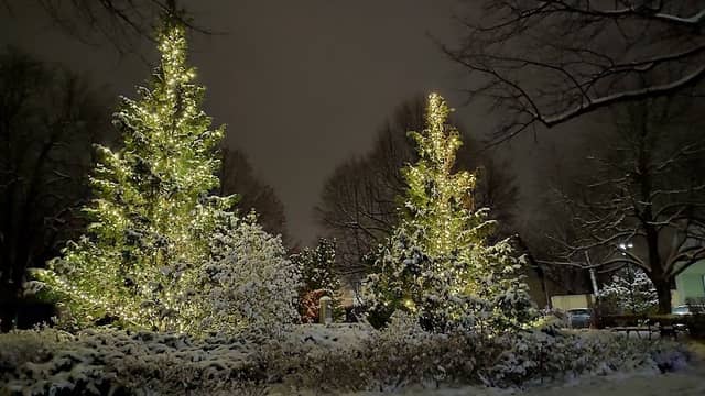 Petri Park - Image 1