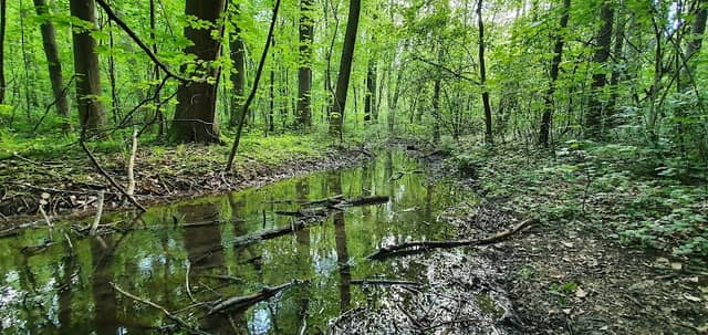 Les Bažantnice - Image 1