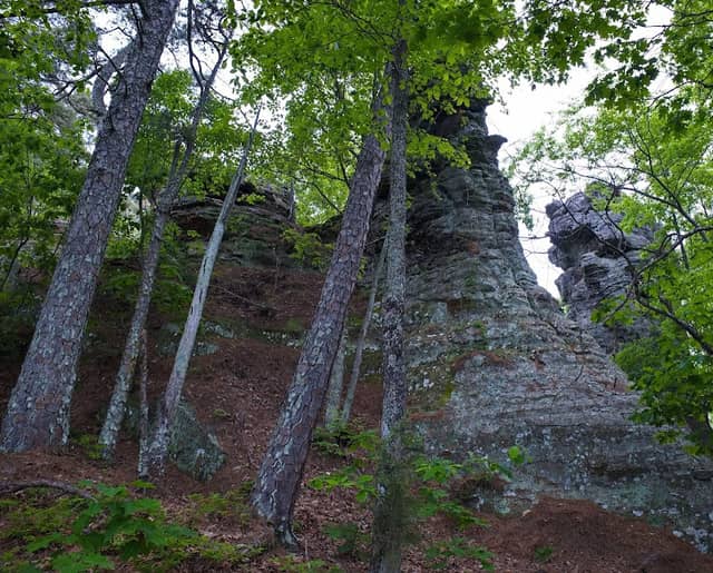 Woods Mountain Twin Pedestals - Image 2
