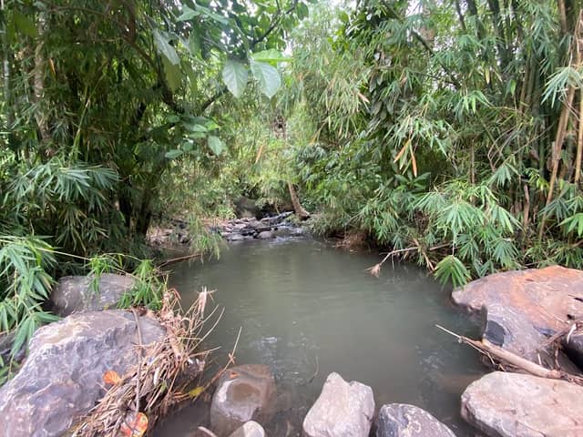 Fumo Tenshi Adventure, River Site. - Image 1