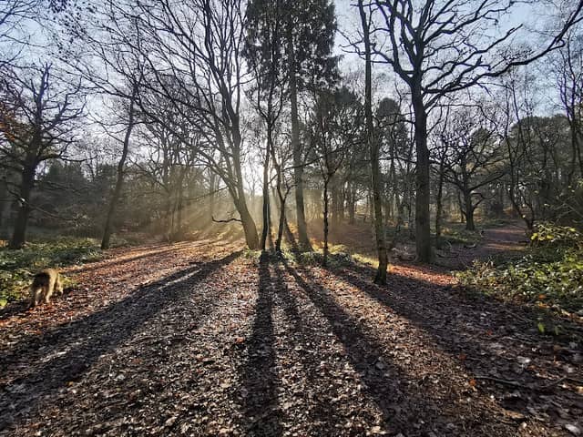 Rushmere Country Park - Stockgrove entrance - Image 2