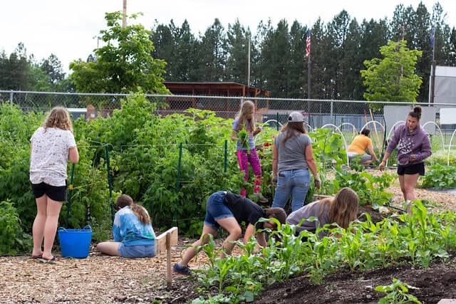 Wildcat Garden - Image 1